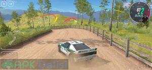 carx rally mod apk para hileli kilitler acik apkdelisi.net 5