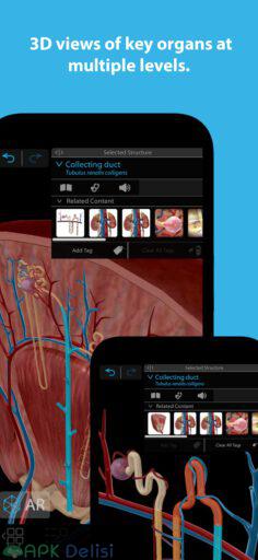Human Anatomy Atlas 2023 v2023.05.005 FULL APK — TAM SÜRÜM 2