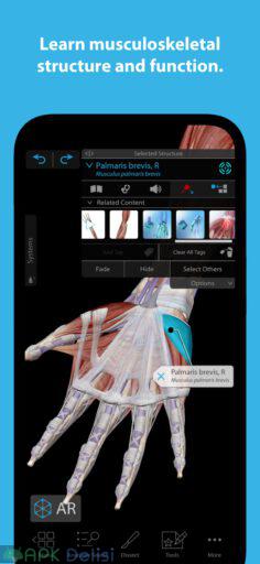 Human Anatomy Atlas 2023 v2023.05.005 FULL APK — TAM SÜRÜM 3