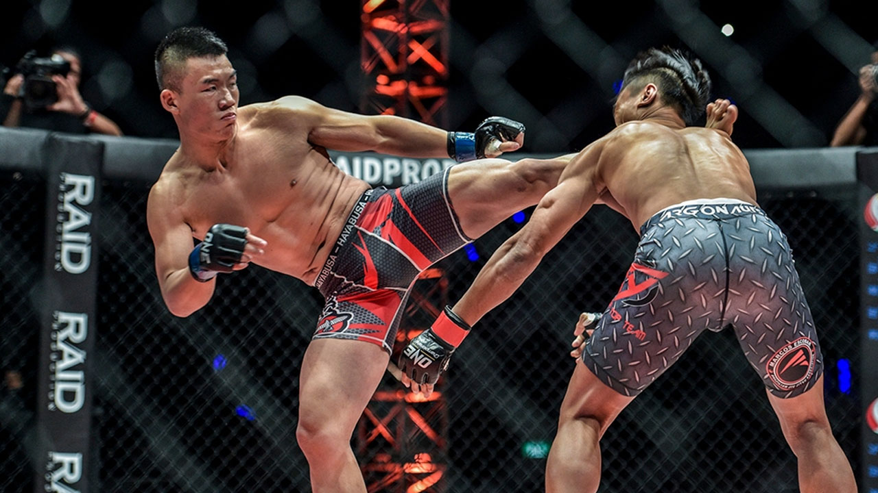 MMA