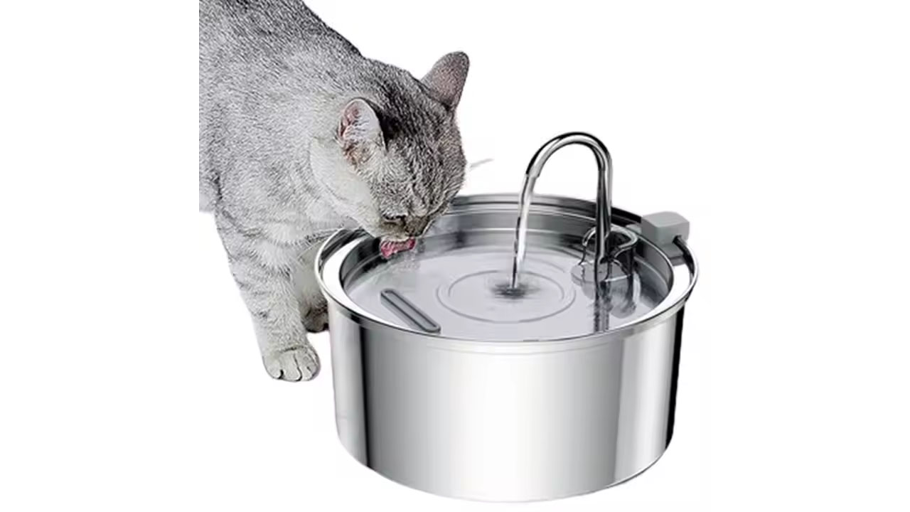 kedi çeşmesi