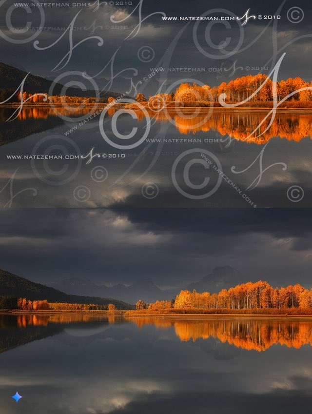 42ffd84bea4f94161bb42938745fd0ef50d8fcd8