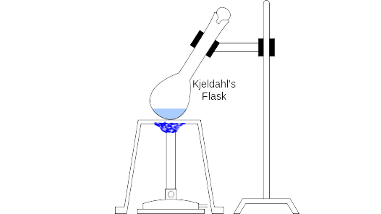 protein nasıl ölçülür