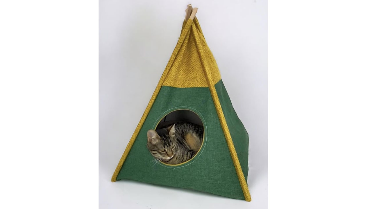 kedi çadırı