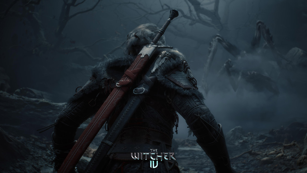the witcher 4 ne zaman çıkacak