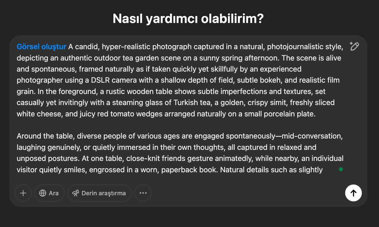 detaylı prompt