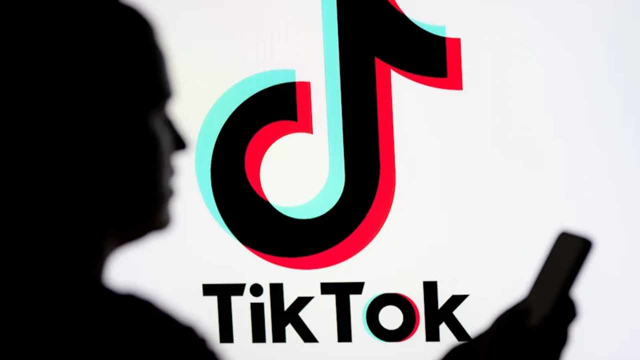 TikTok avrupa verileri 