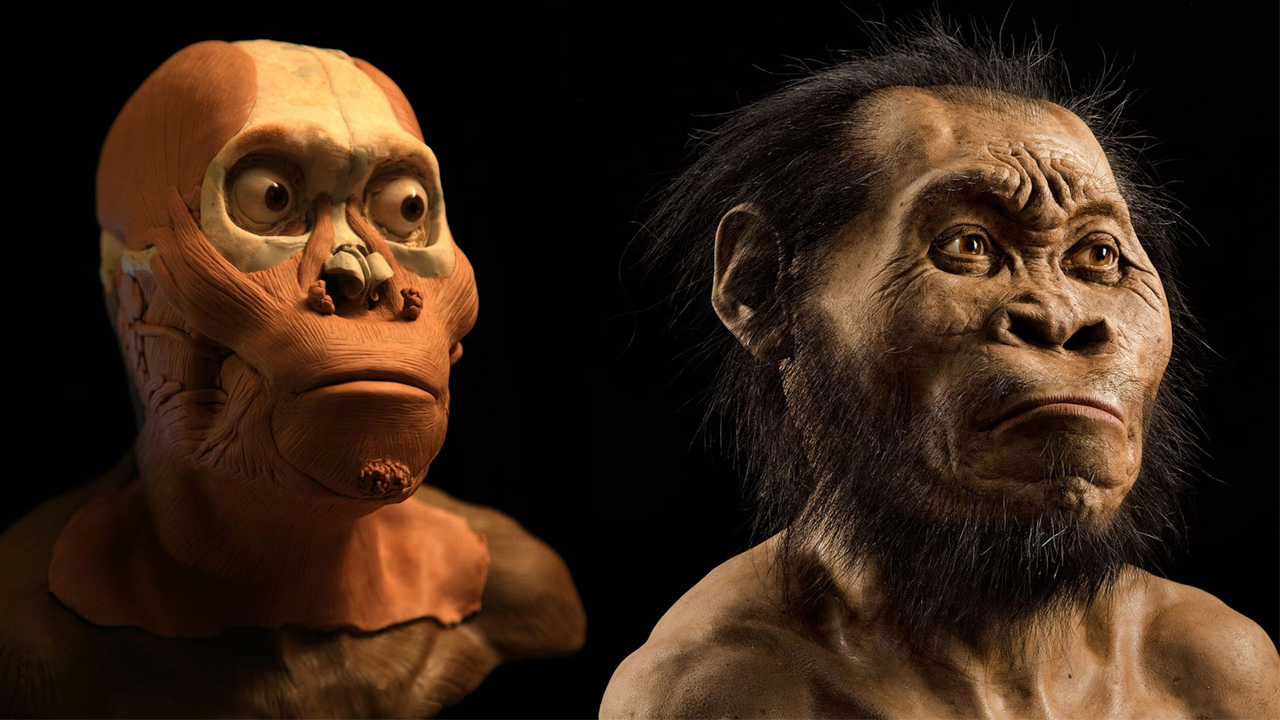 Homo naledi