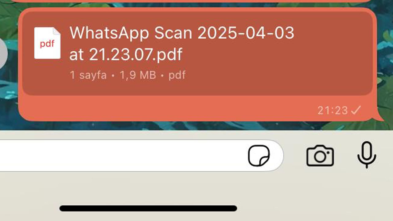 whatsapp pdf