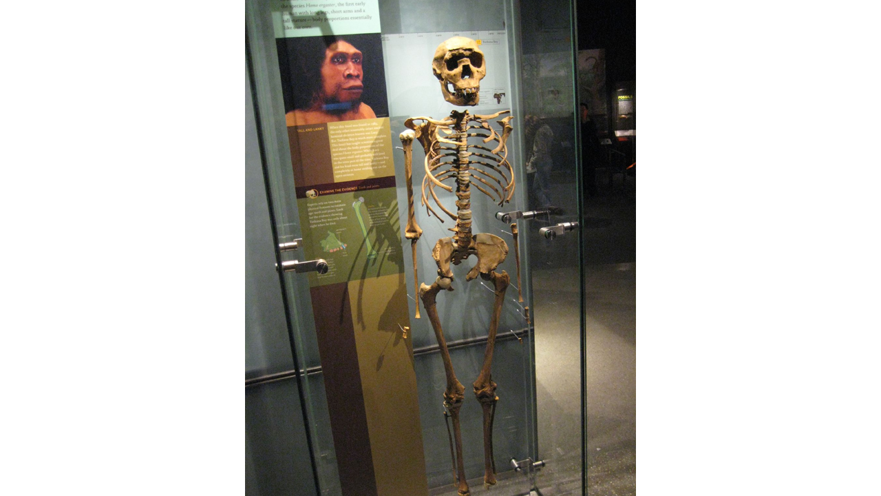 Turkana Çocuğu