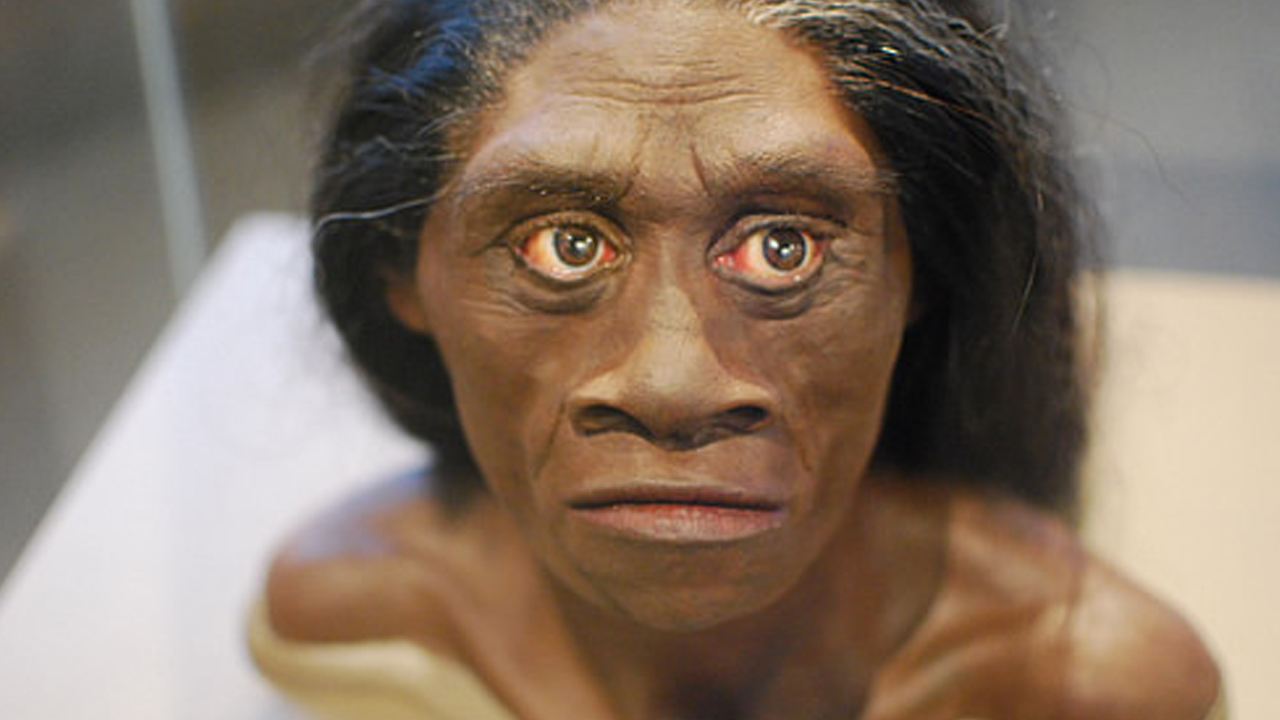 Homo floresiensis
