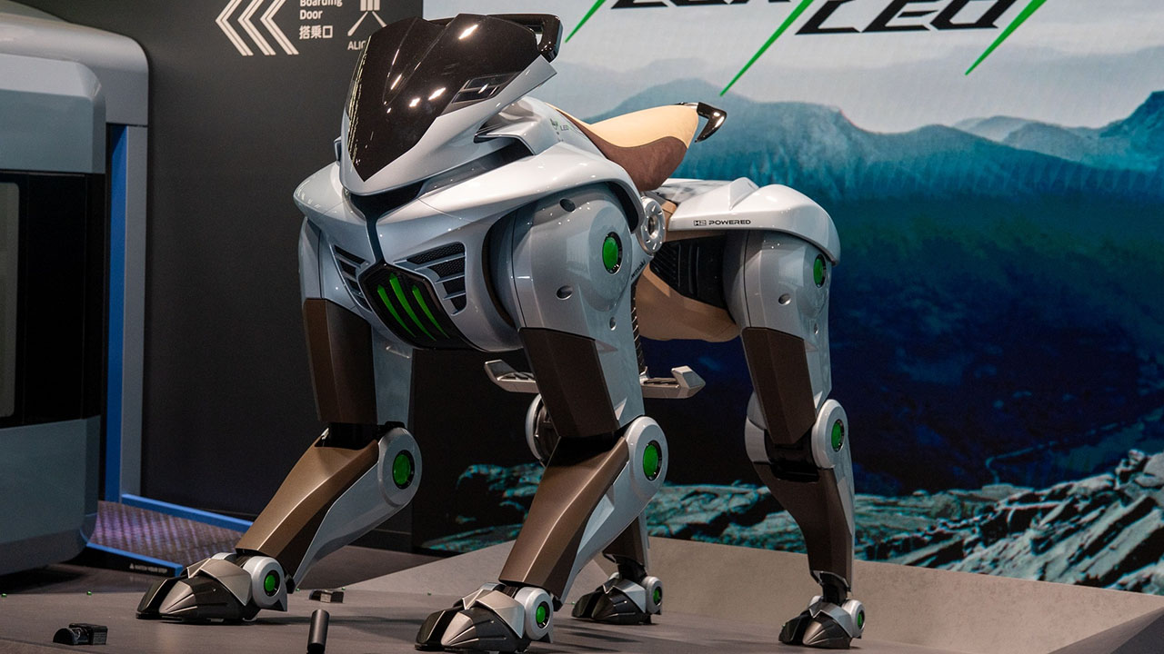 Corleo Kawasaki