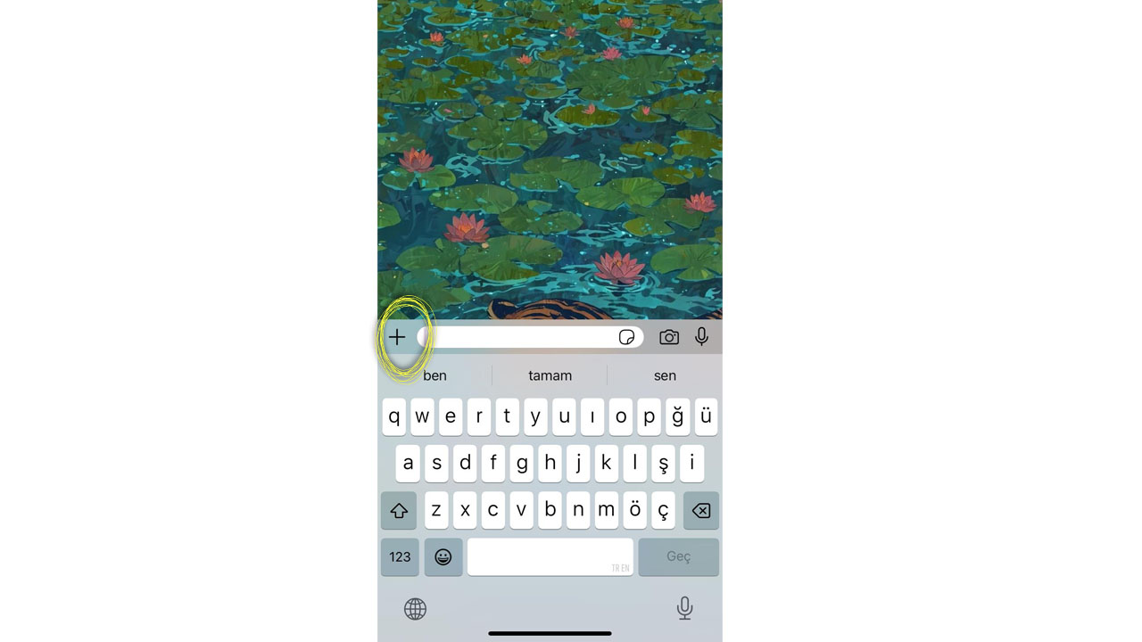 whatsapp belge tarama 1