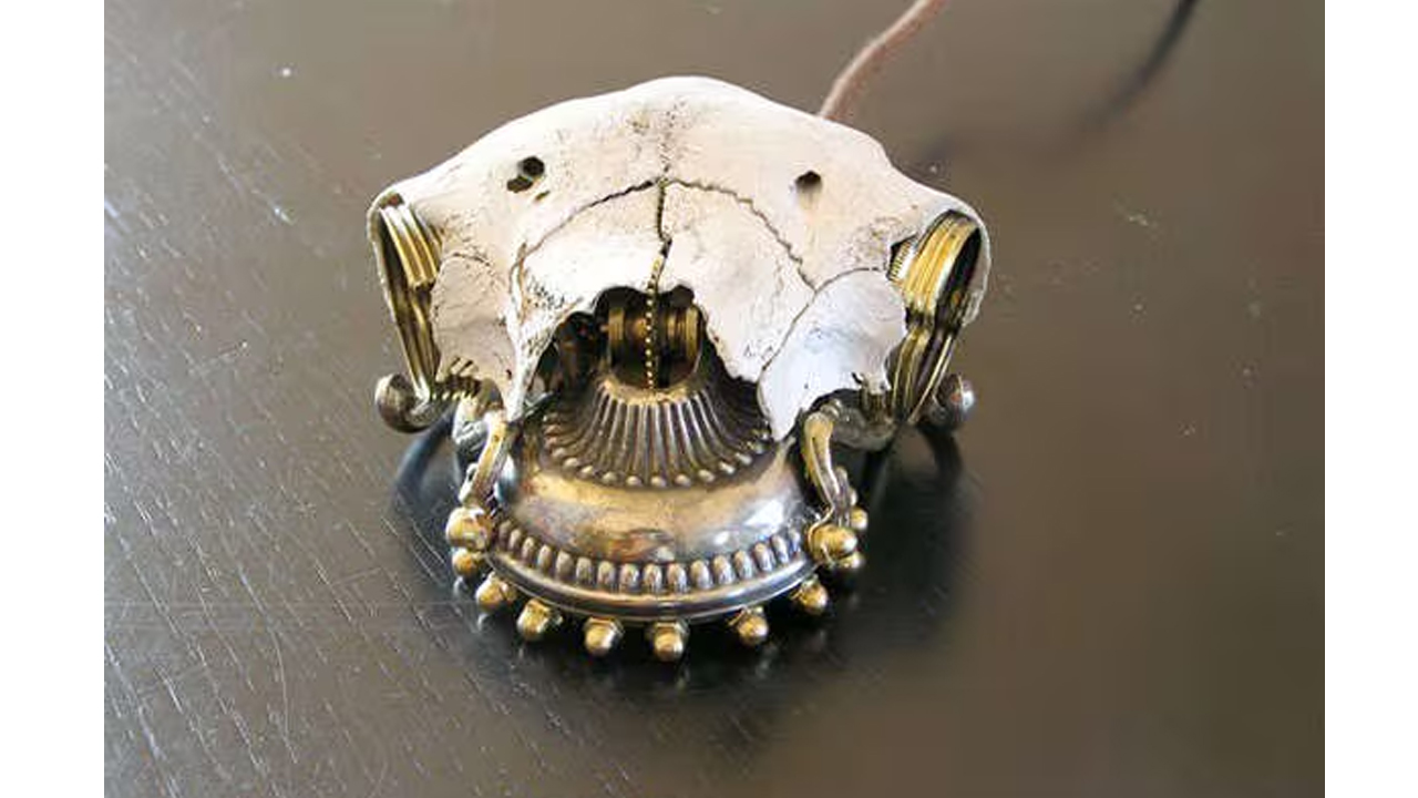 mouse çeşitleri