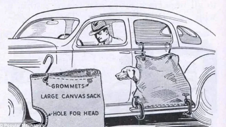 köpek torbası araç