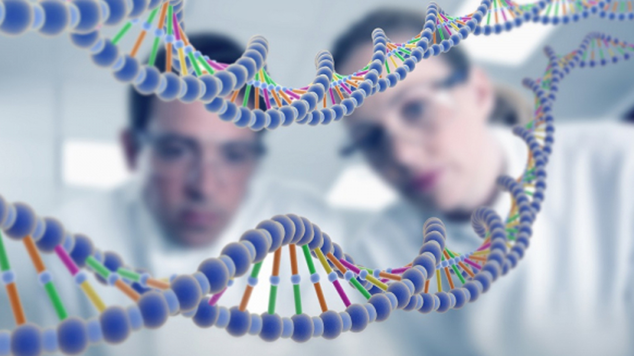 yapay zeka çöp DNA