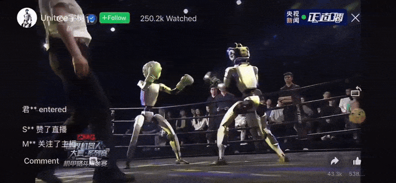 The world's first professional roboboxing tournament took place in China